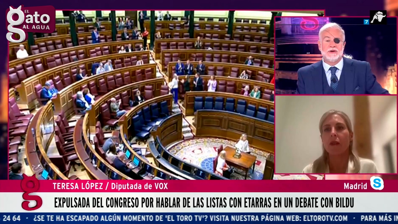 Expulsan A Teresa L Pez Vox De La Tribuna Del Congreso Por Hablar De