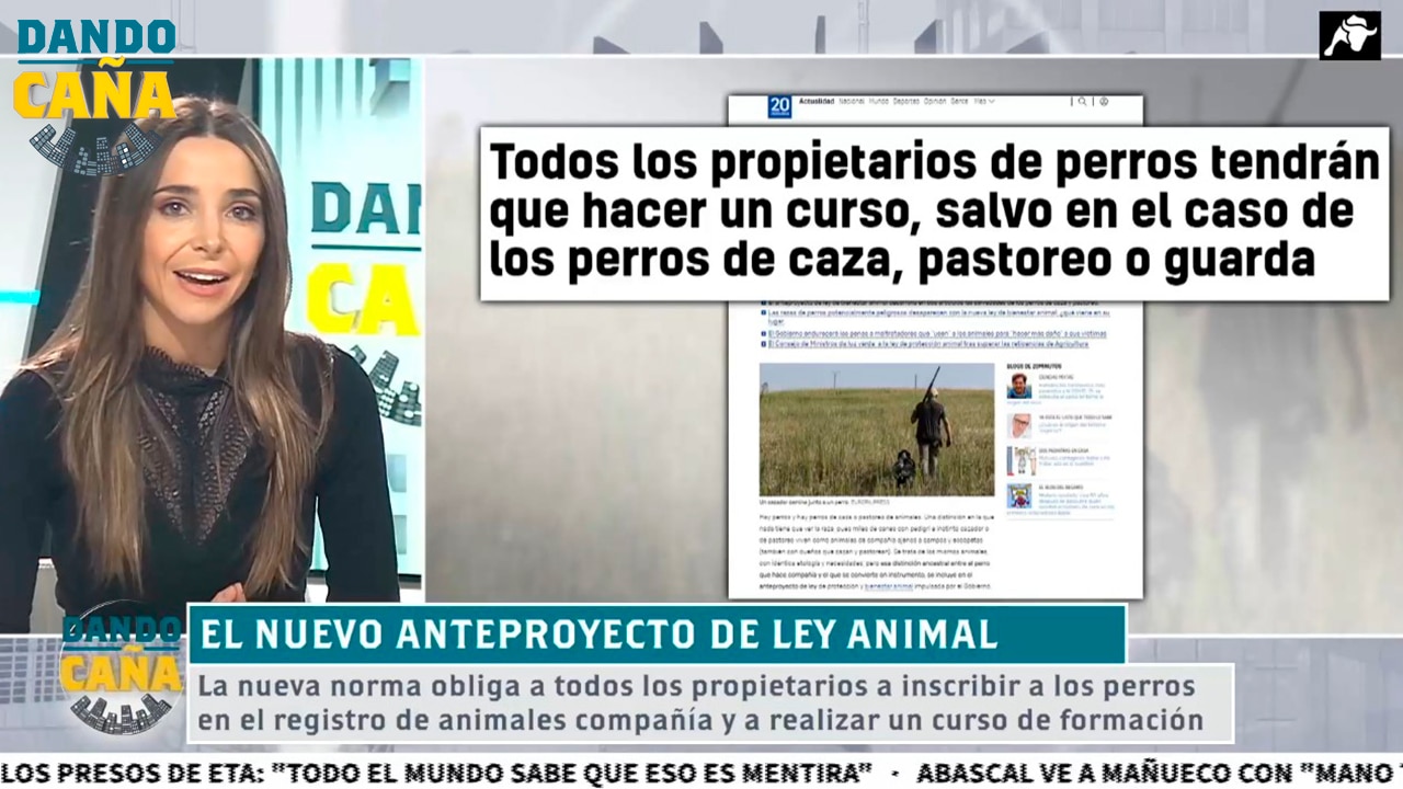 Los puntos de la nueva ley animal: un curso previo, seguro o ‘núcleo zoológico’