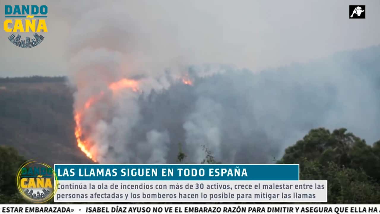 Las llamas devastan España: más de 60 mil hectáreas quemadas y cortado el AVE Madrid-Galicia