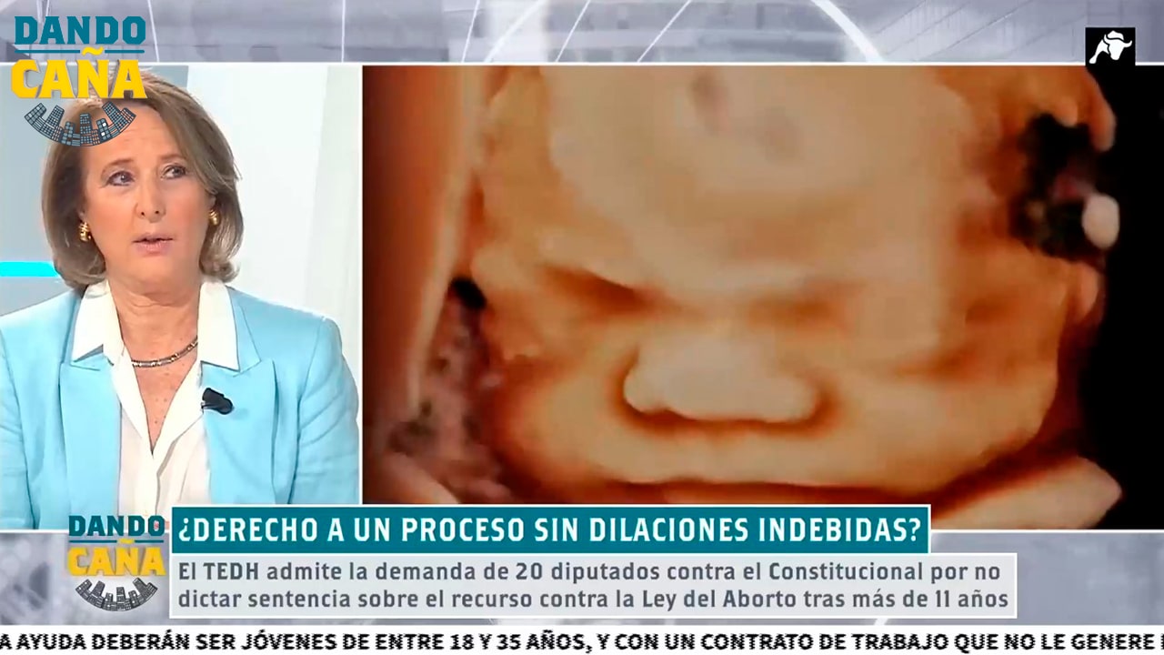 Lourdes Méndez: ‘El PP no ha sido responsable con el aborto’