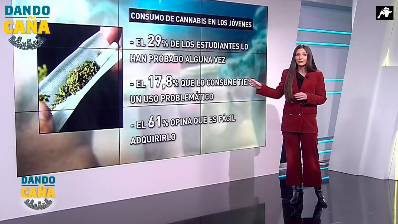 Aumenta el uso del cannabis entre los jóvenes mientras los políticos piensan en legalizarlo