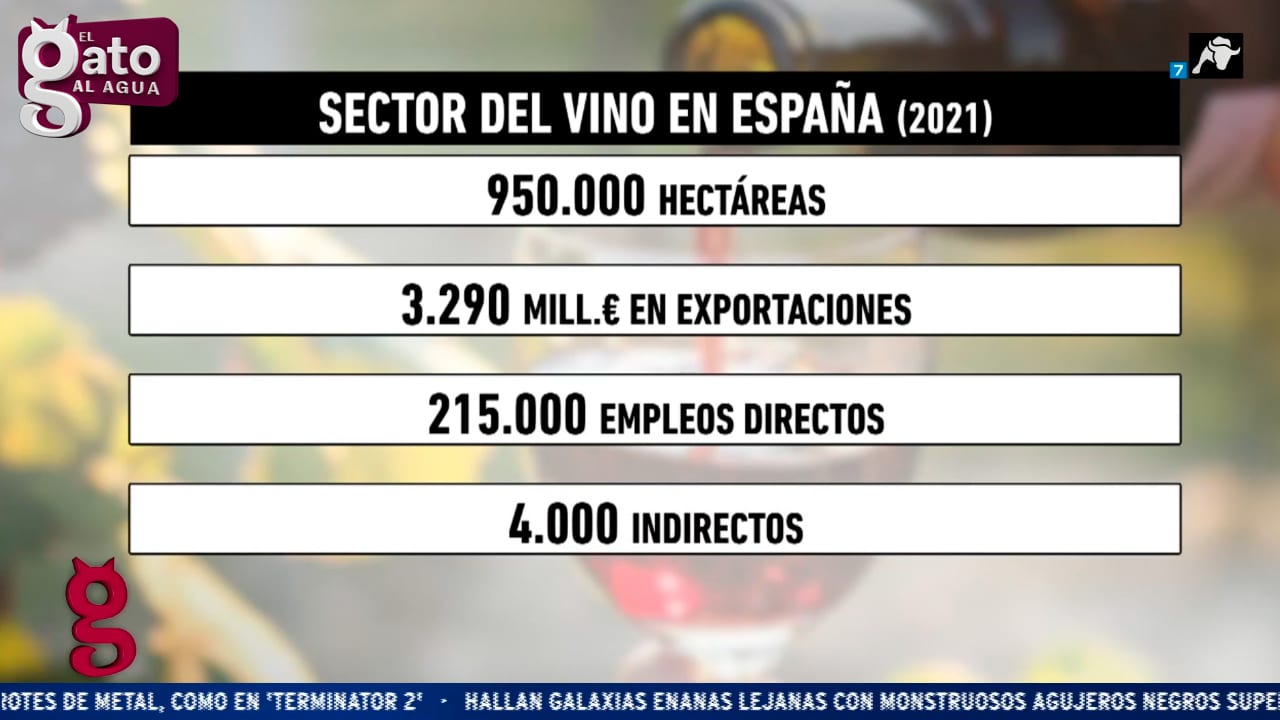 Los socialistas españoles en Europa votan a favor de la criminalización del vino