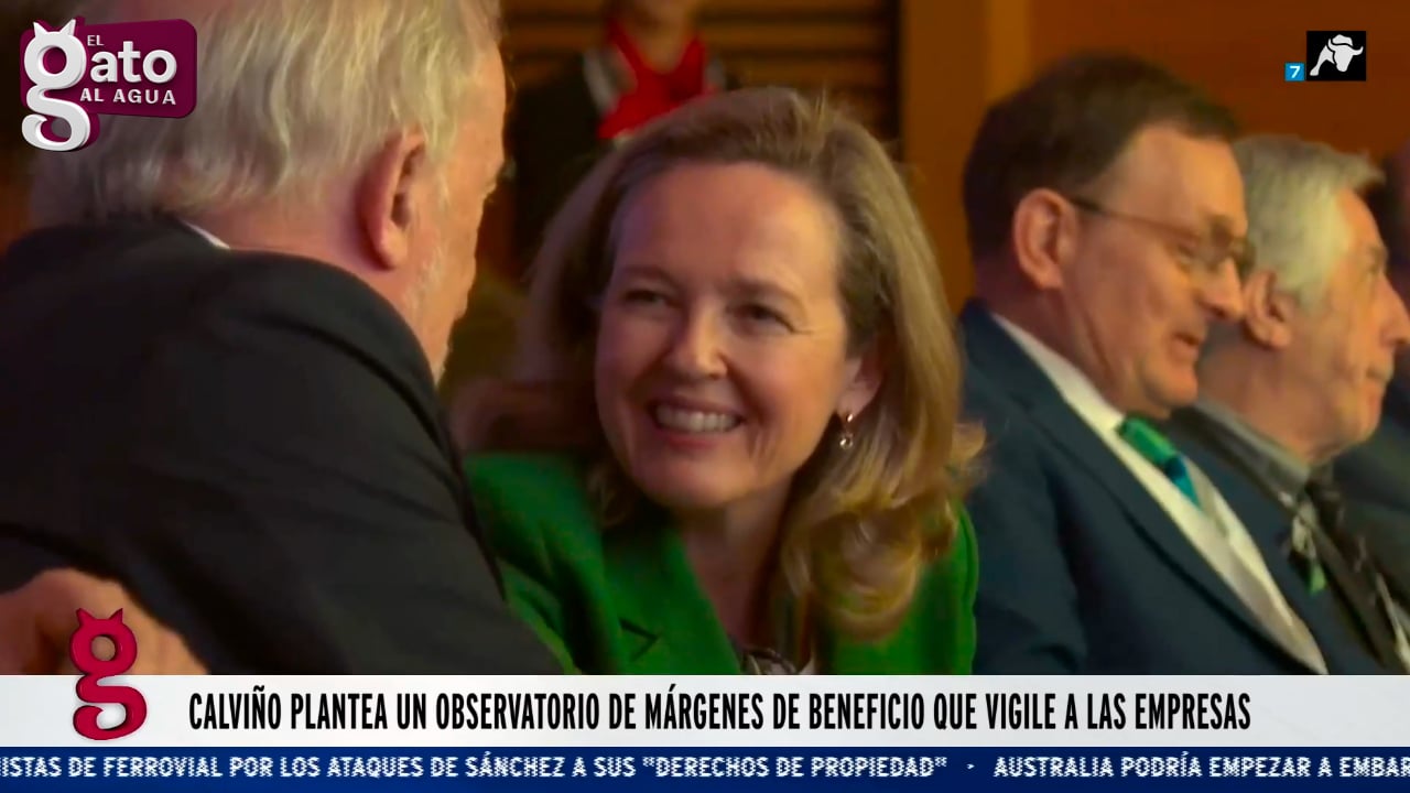 Calviño plantea un observatorio de márgenes de beneficio que vigile a las empresas