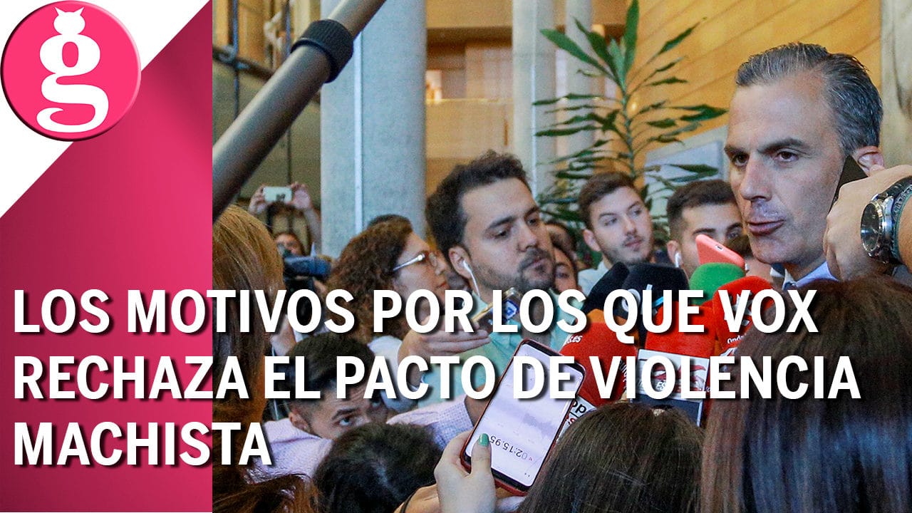 Las razones por las que VOX no apoya el pacto contra la violencia machista en Madrid