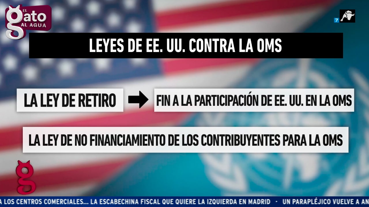 La OMS propone crear un Gobierno Mundial