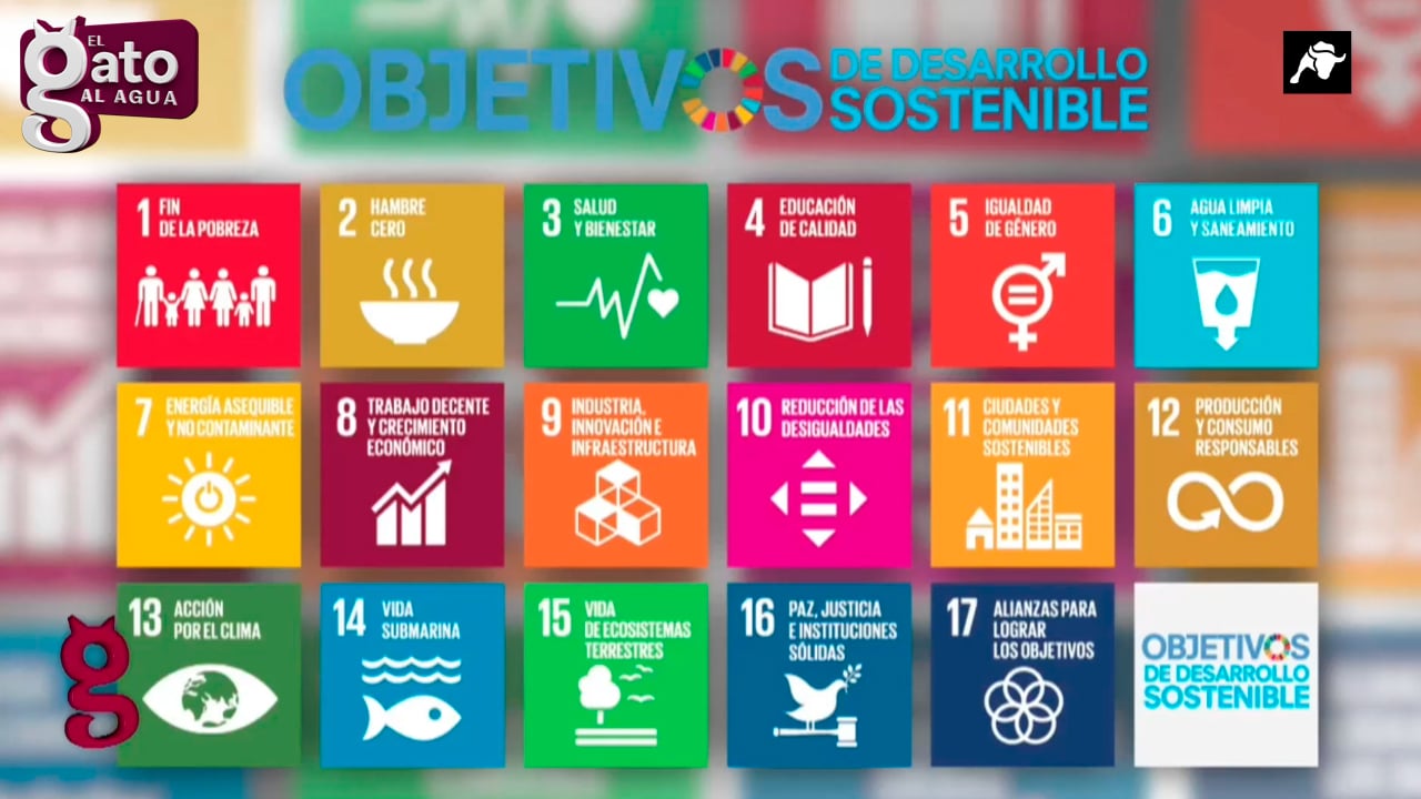 Así impulsan la Agenda 2030, la ONU y la OMS el aborto a nivel global