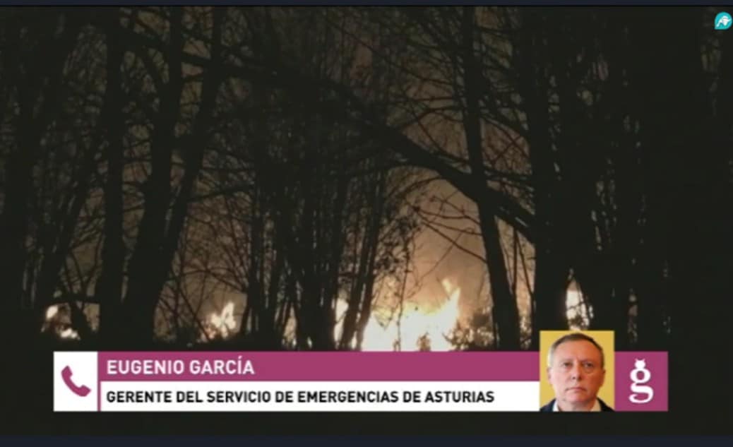 El SEPA alerta sobre las causas de los incendios en Asturias: ‘La mayoría son intencionados’