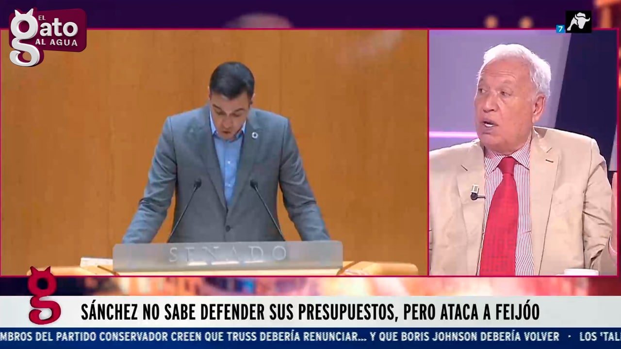 Margallo: ‘Si el PSOE pierde las elecciones, Sánchez saldrá del tablero político’