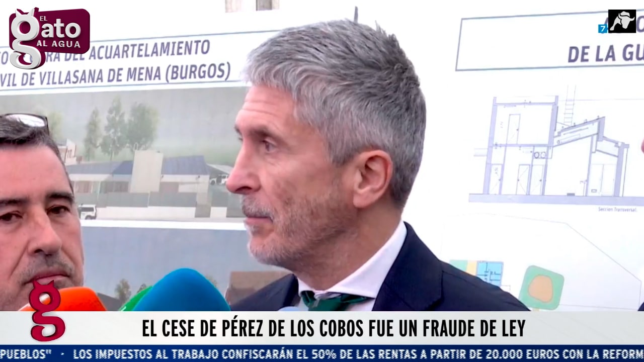 El cese de Pérez de los Cobos fue un fraude de ley