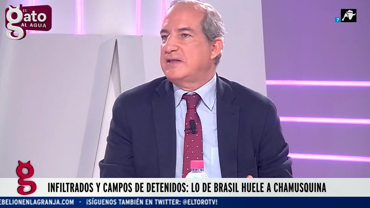 Antonio Alonso Timón: ‘No me parece que sea tan fácil entrar en las instituciones brasileñas’