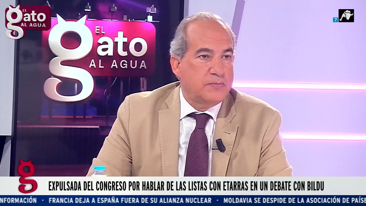Timón: ‘Se está cumpliendo punto por punto cómo se pasa de una democracia a un estado autoritario’
