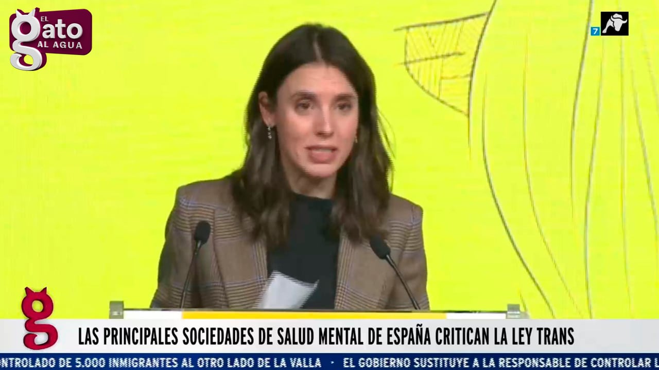 Las principales sociedades de salud mental de España critican la Ley Trans