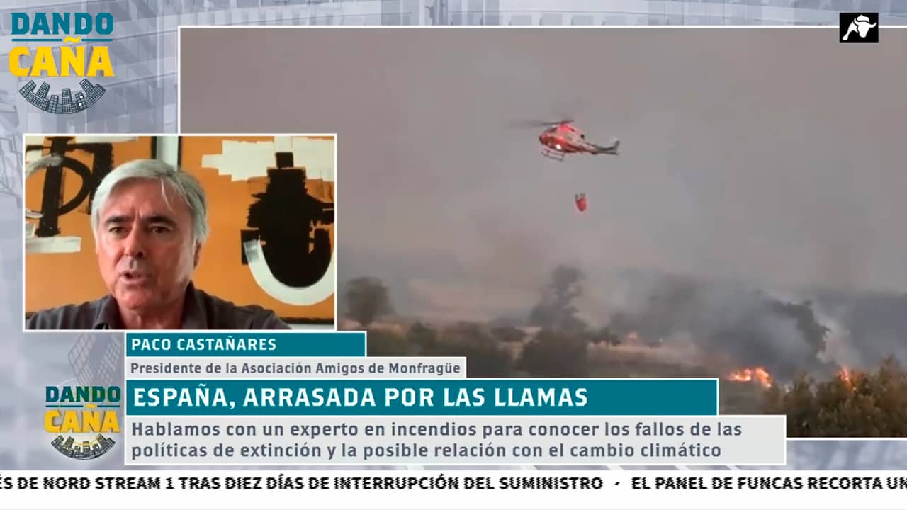 Hablamos con el mayor experto en incendios de España para conocer qué sucede detrás de estos fuegos