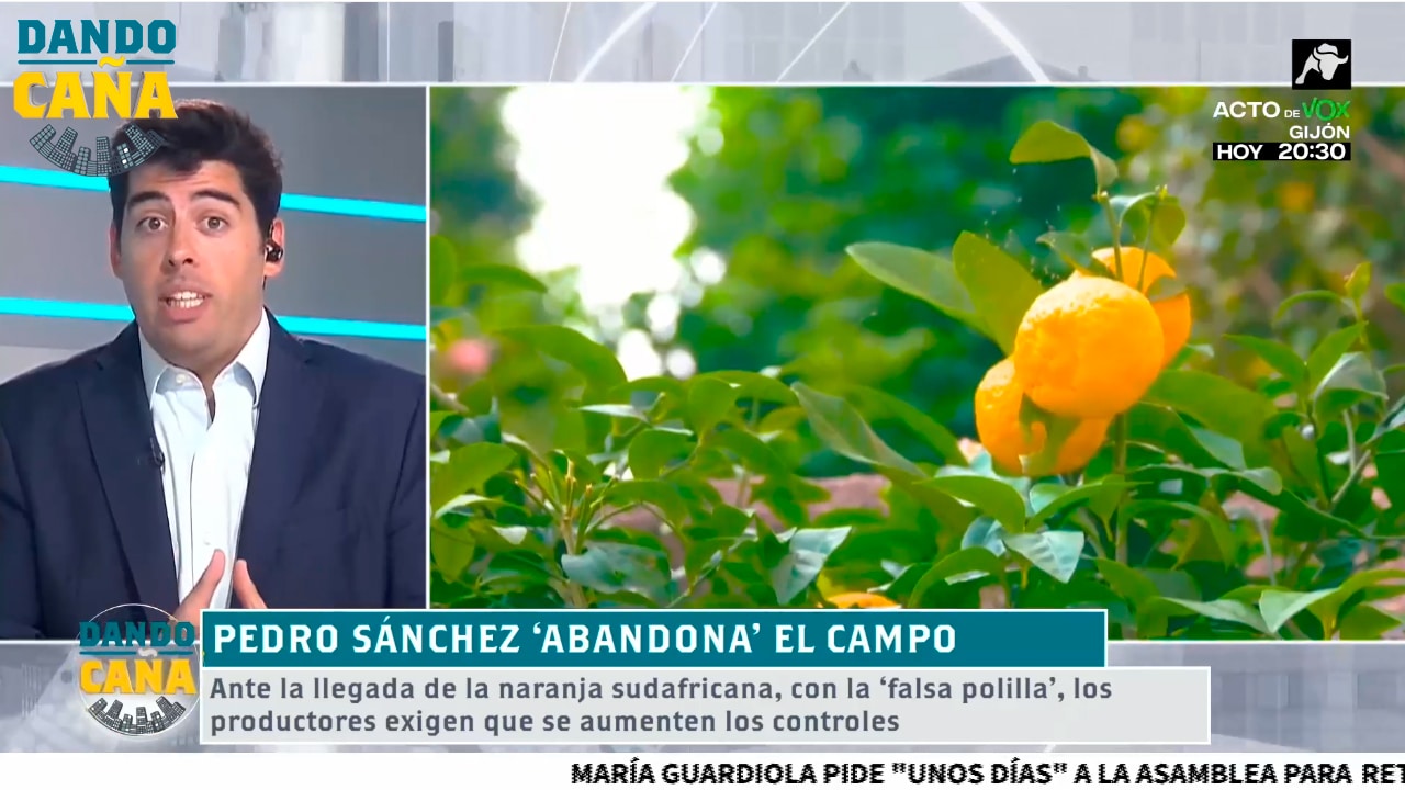 La naranja, el último de nuestros alimentos atacados por el Gobierno de Pedro Sánchez