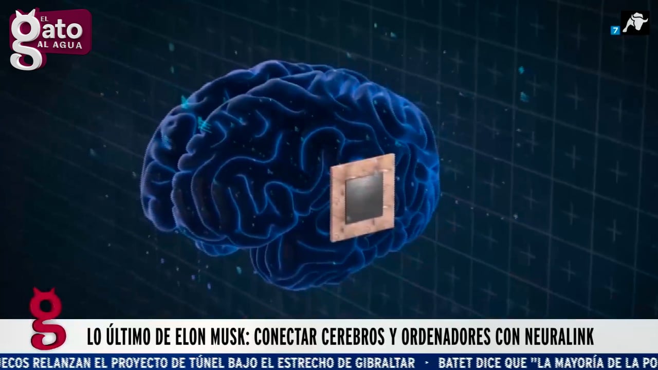 El nuevo proyecto de Elon Musk: implantar chips en el cerebro humano