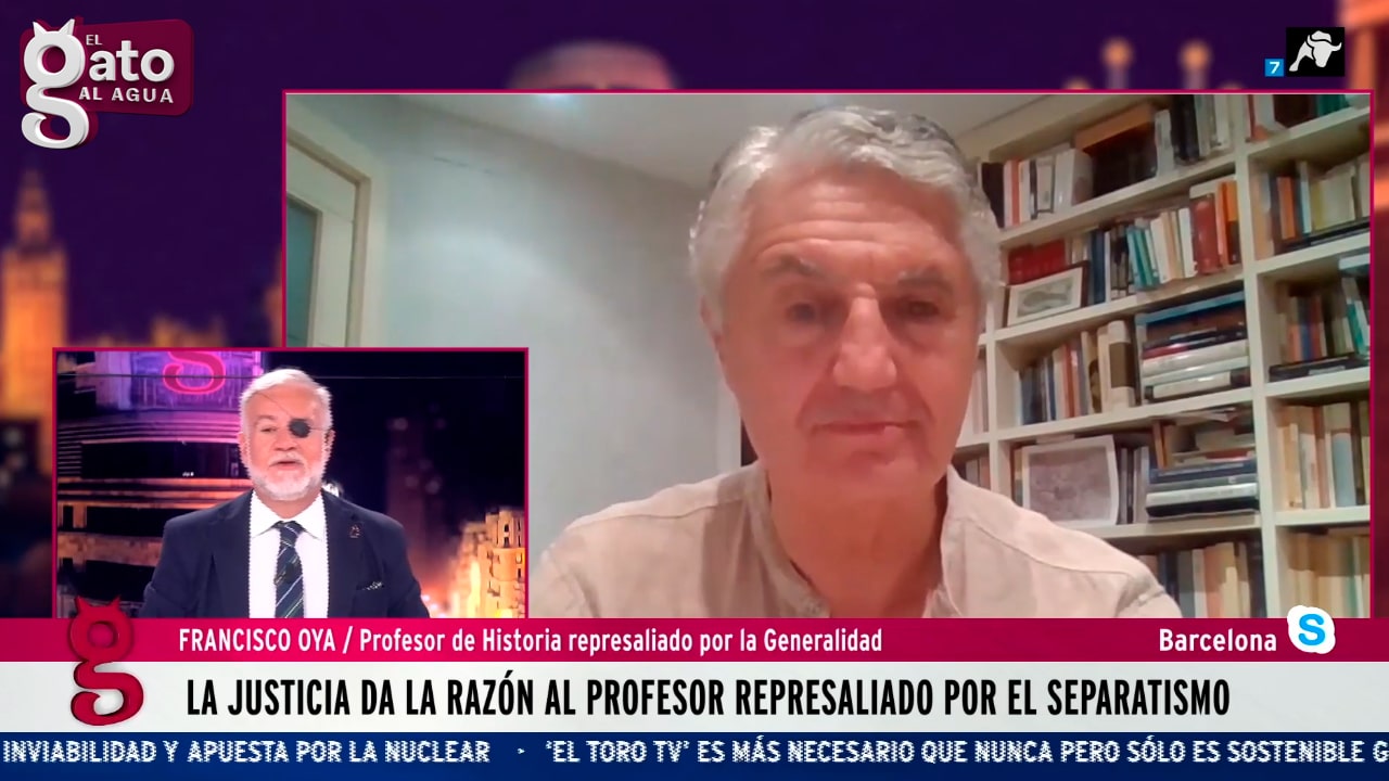 Un profesor constitucionalista gana la batalla al separatismo en los juzgados