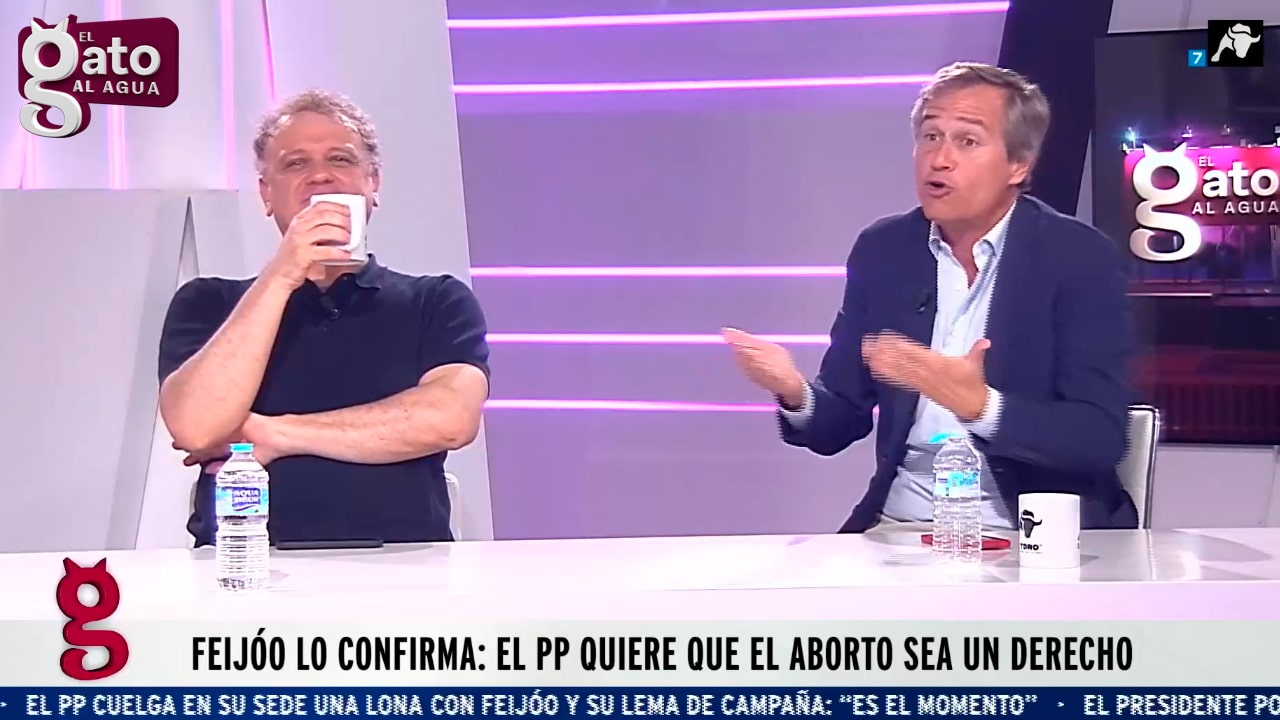 Quintana Paz estalla contra Terol, un diputado del PP “profundamente provida”