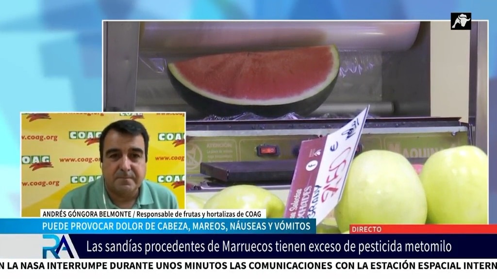 COAG, en defensa del producto nacional: «Hay que comprar la fruta en sitios de confianza donde nos garanticen la procedencia española»