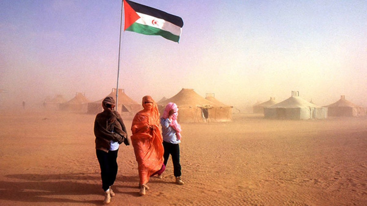 «El camimán»: Causas del cambio radical de la política de España respecto del Sáhara Occidental