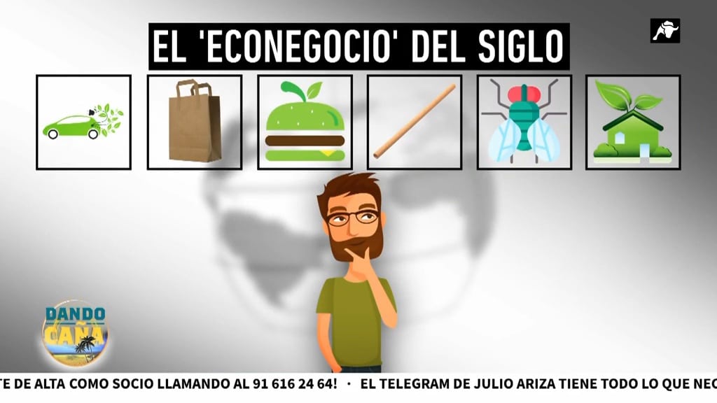 El econegocio del siglo que no funciona: coches eléctricos, cucharas de madera, ‘carne’ vegana o comida con larvas de mosca
