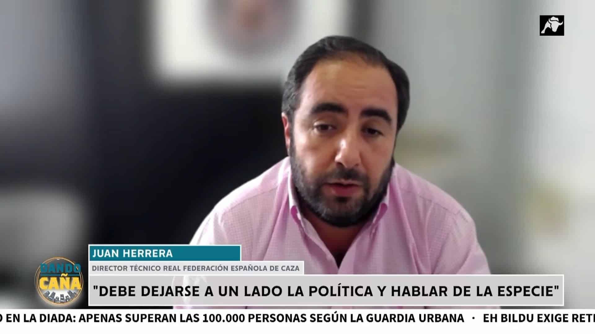 España es el país de la Unión Europea con más lobos y hay “perros de caza que están en peligro”
