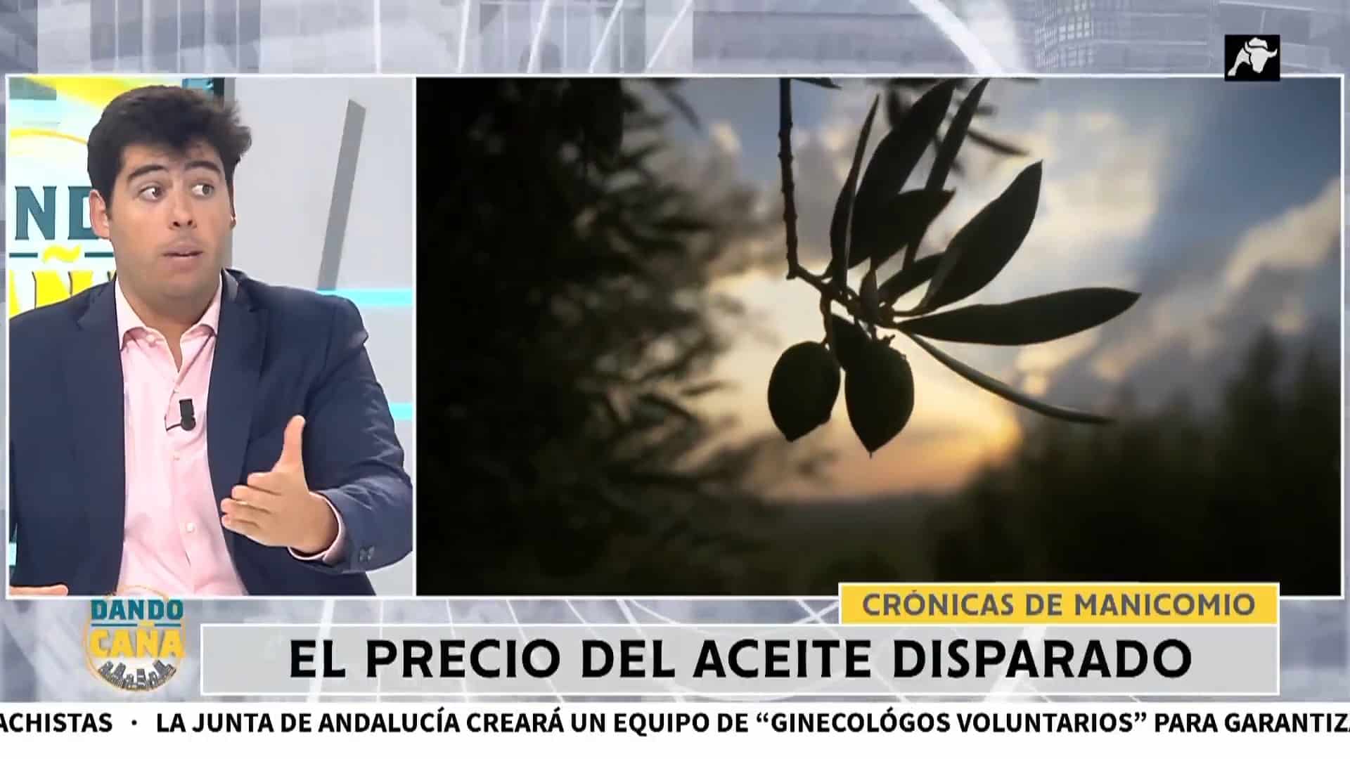 El aceite de oliva se dispara de precio: robos y mezcla con el de girasol