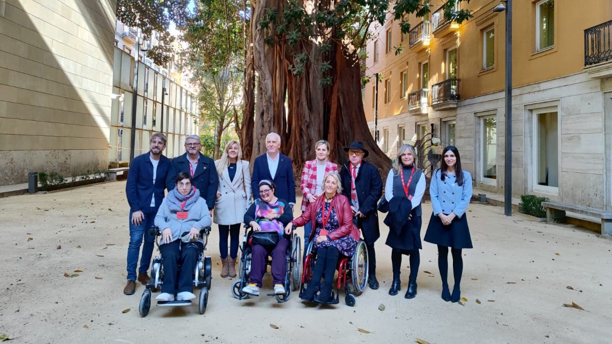 Unanimidad en las cortes valencianas para crear la Comisión de Políticas Integrales en discapacidad