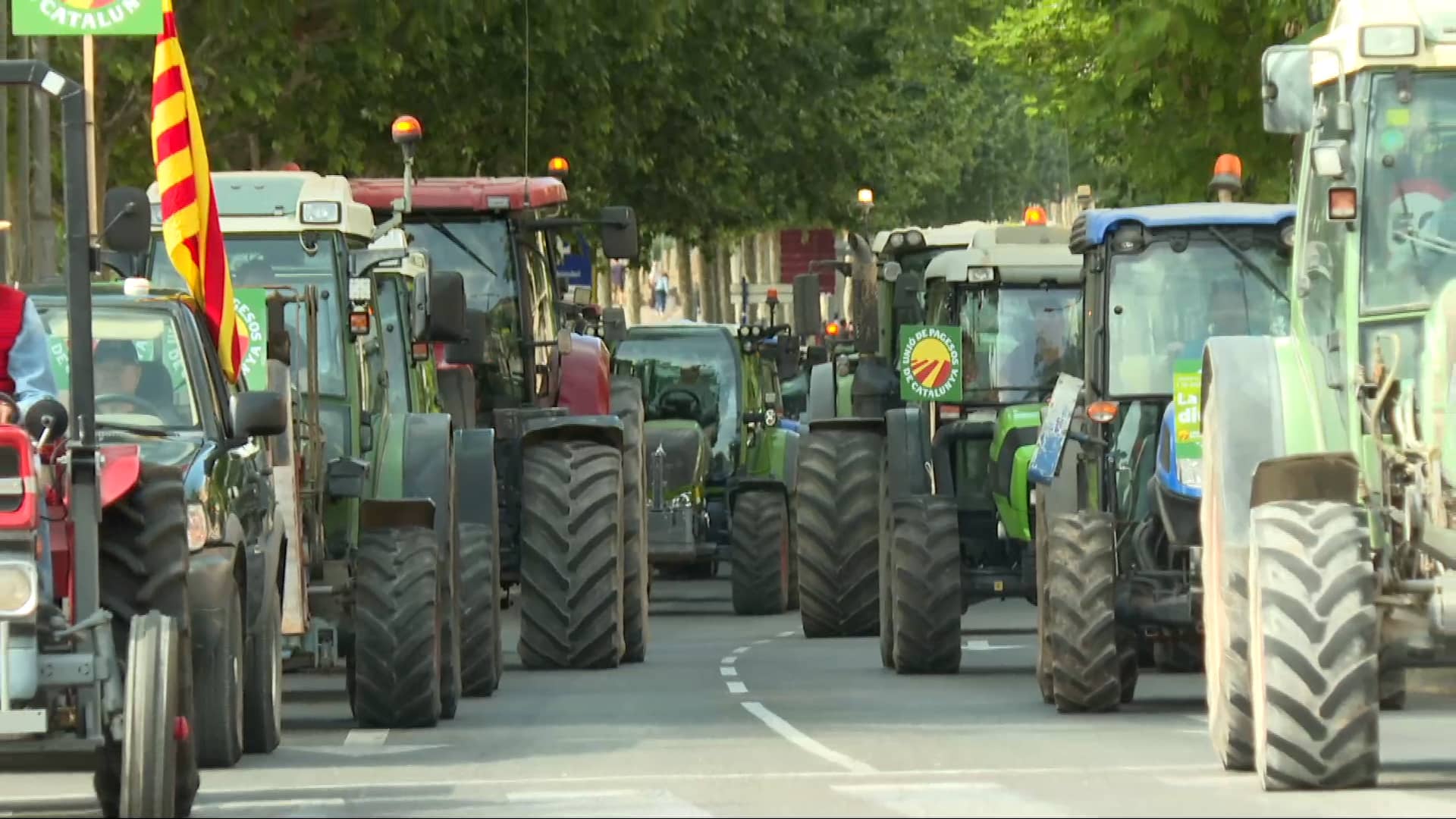 Agricultores de Alemania y Holanda se unen contra el ataque globalista al sector primario