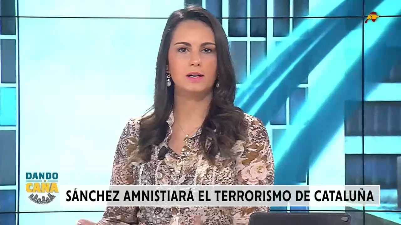 La basura intelectual del PSOE con el terrorismo que amnistiarán