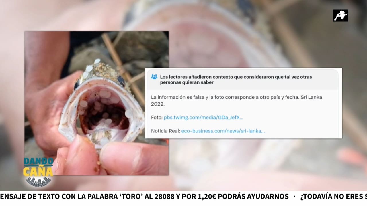 Pedro Sánchez se irá a Galicia a hacerse la foto de campaña con los pellets