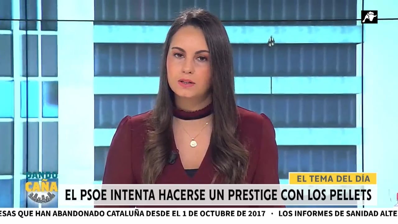 El PSOE pudo evitar los pellets de Galicia pero se calló durante un mes