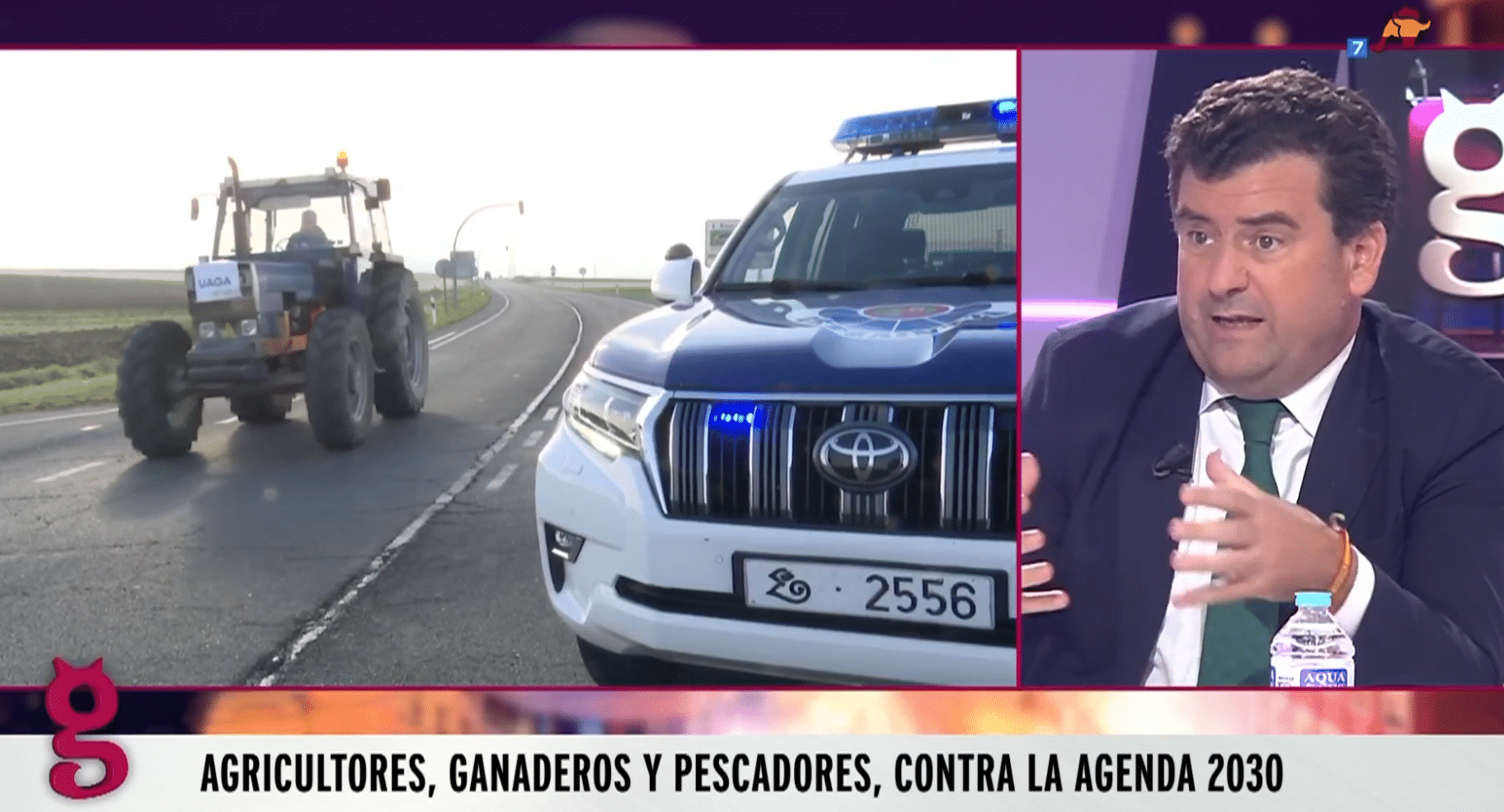 Sinsentido progre: preocuparse más por la felicidad del pollo que por su precio