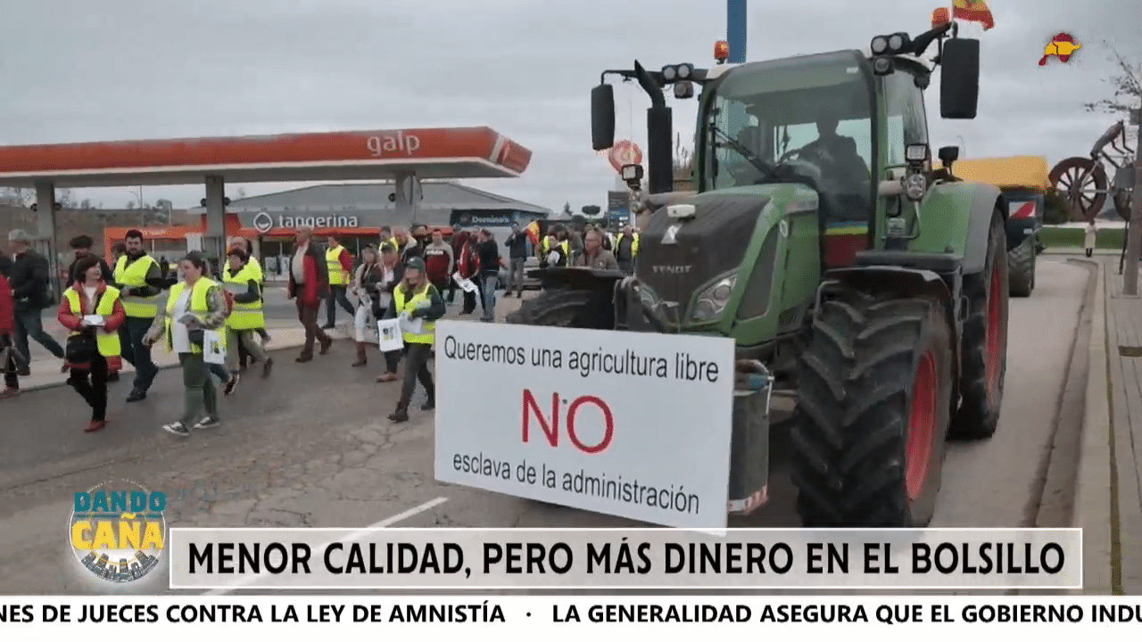 ALERTA: los productos extranjeros que se cuelan en la cesta en detrimento de los españoles