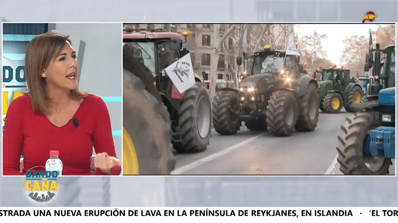 VOX denuncia que el Pacto Verde es un plan de despido masivo al campo