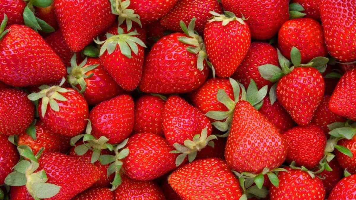 Alerta alimentaria por la detección de hepatitis A en fresas procedentes de Marruecos