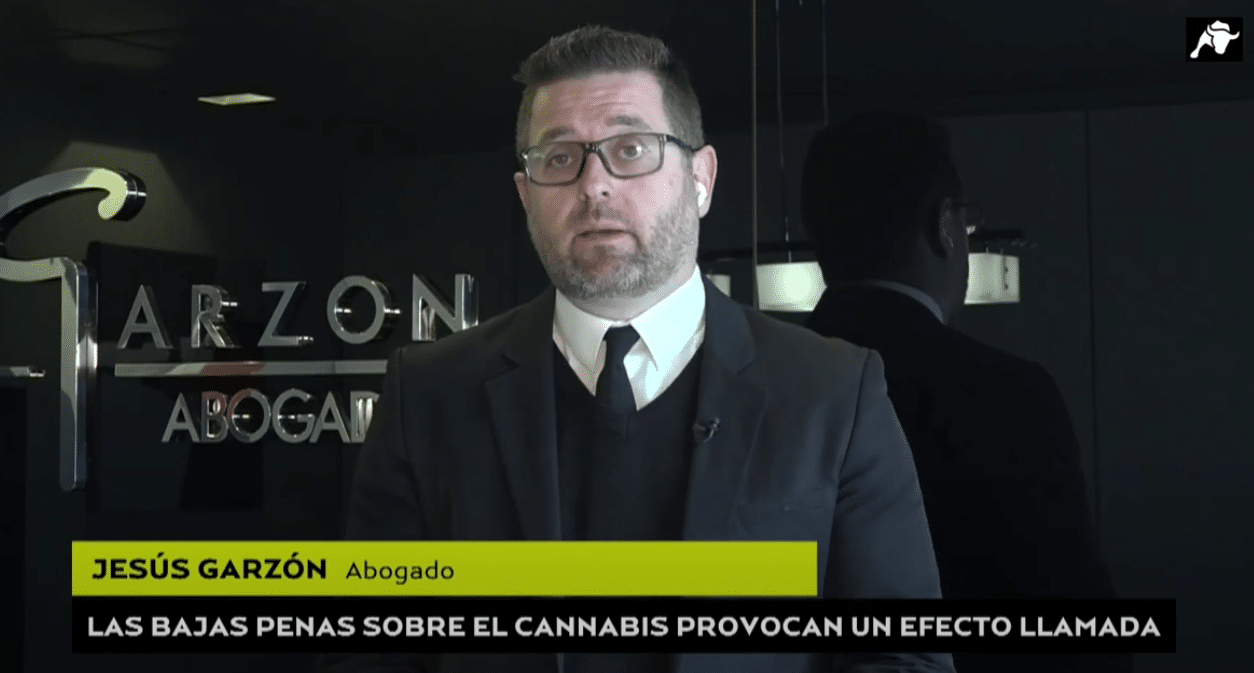 El ‘negociazo’ de traficar con marihuana en España: «Hacen falta leyes más concretas»
