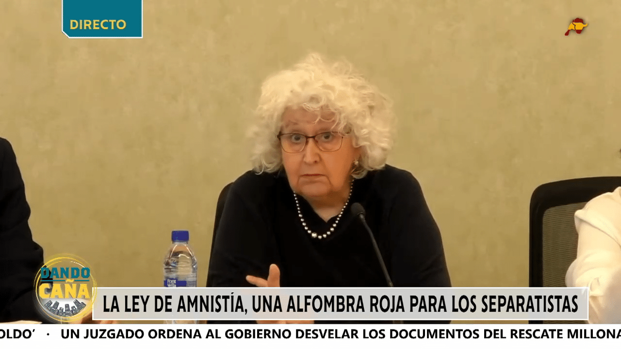 Teresa Freixes desmonta la ley de la amnistía
