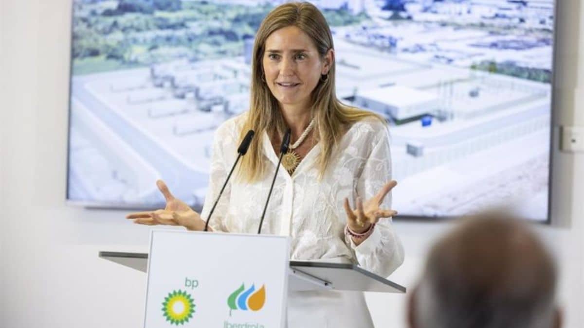 El Gobierno adjudica 1.214 millones a siete proyectos para los Valles del Hidrógeno