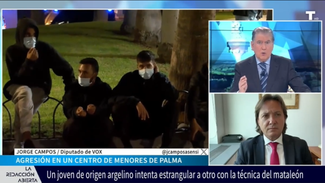 AGRESIÓN MENAS MALLORCA. Jorge Campos (VOX): «Es un problema agravado por la llegada masiva de argelinos»
