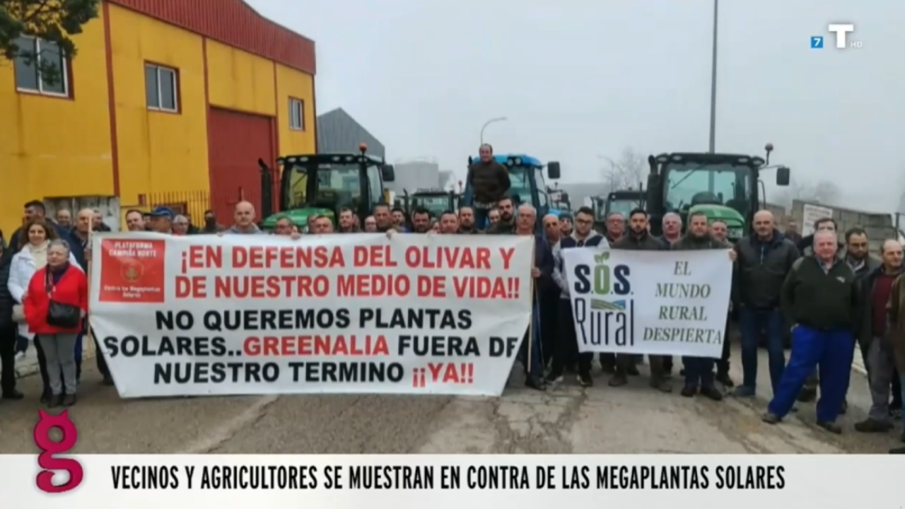 ¿Transición ecológica? Así arrancan miles de olivos para poner placas solares