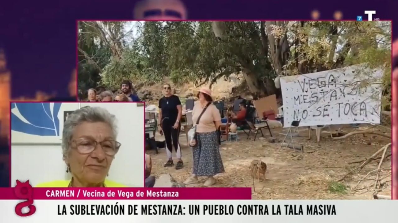 Los vecinos de Vega de Mestanza, en pie de guerra