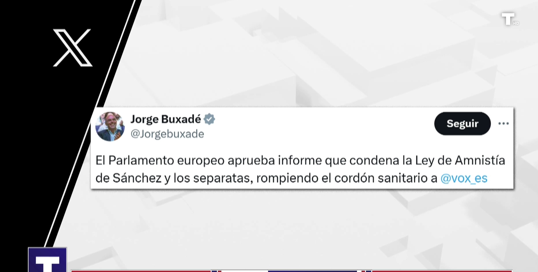 VOX Europa: Querella contra Merchán y cerco a la Amnistía