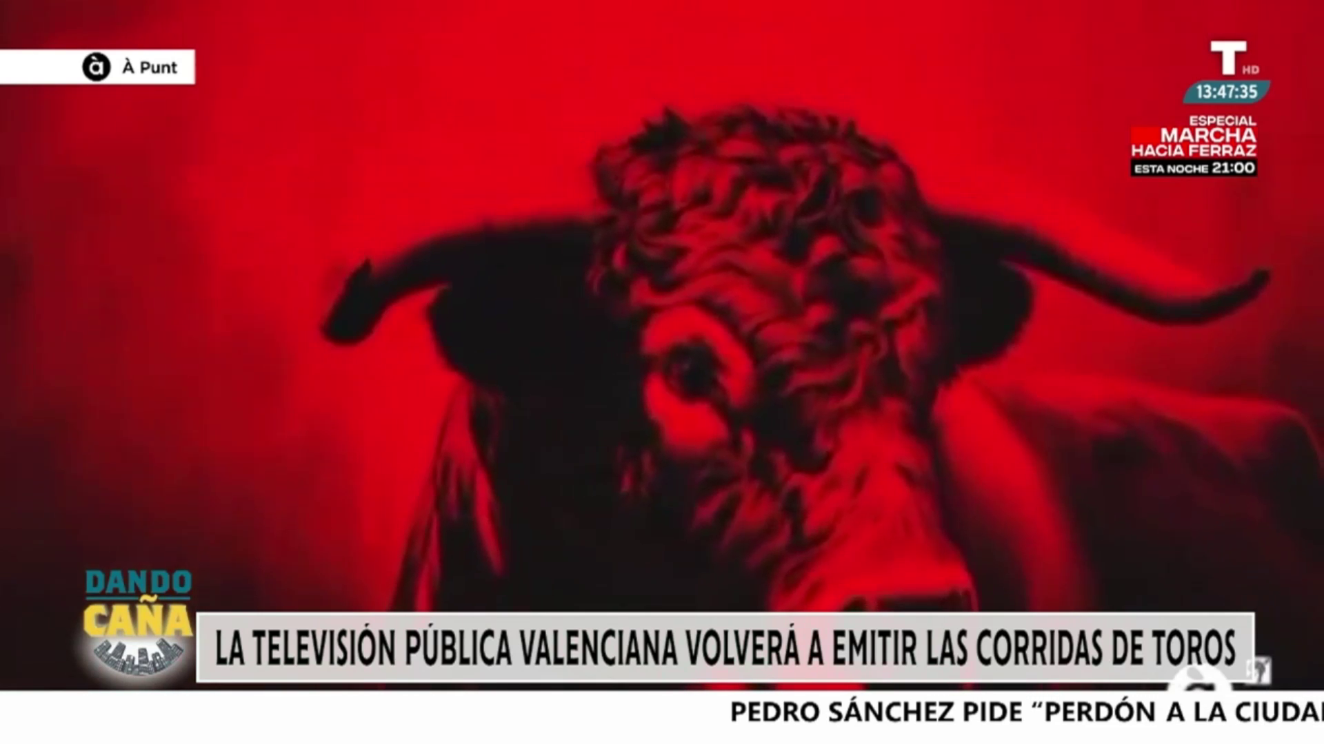 La televisión pública de la Comunidad Valenciana volverá a retransmitir las corridas de toros