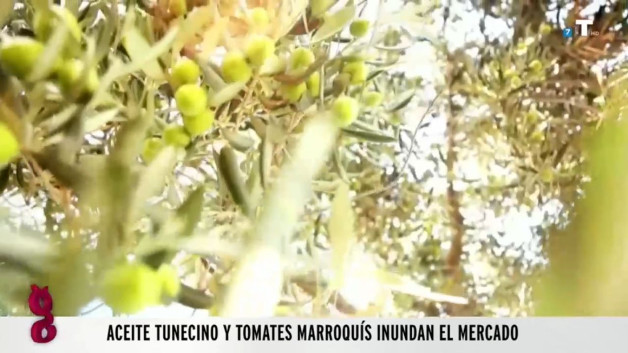 El campo español vive su verano más tenso