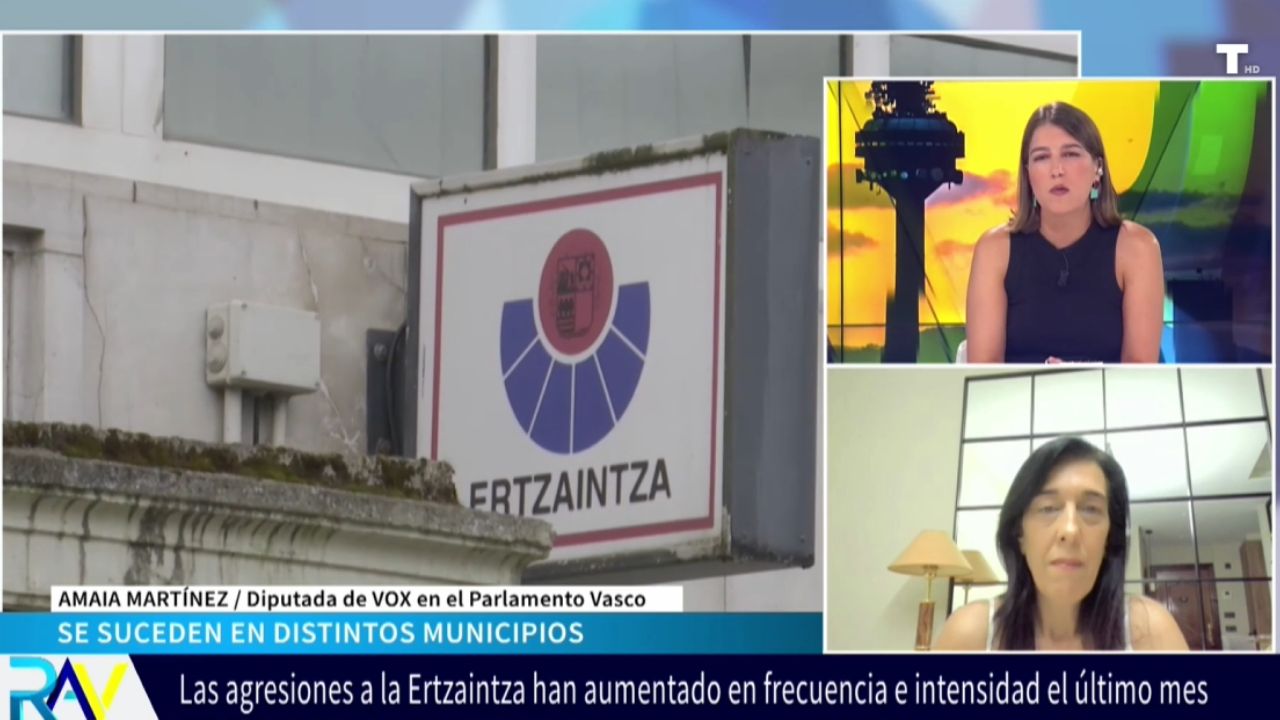 Amaya Martínez: «A Bildu siempre le ha molestado la policía,  llevan la violencia en el ADN»
