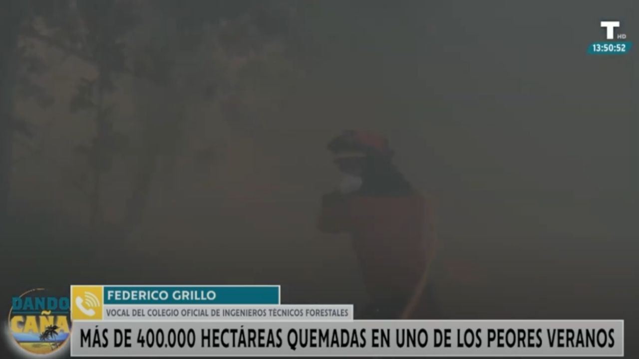 El Colegio de Ingenieros Forestales avisa de más incendios si no se elimina la masa forestal