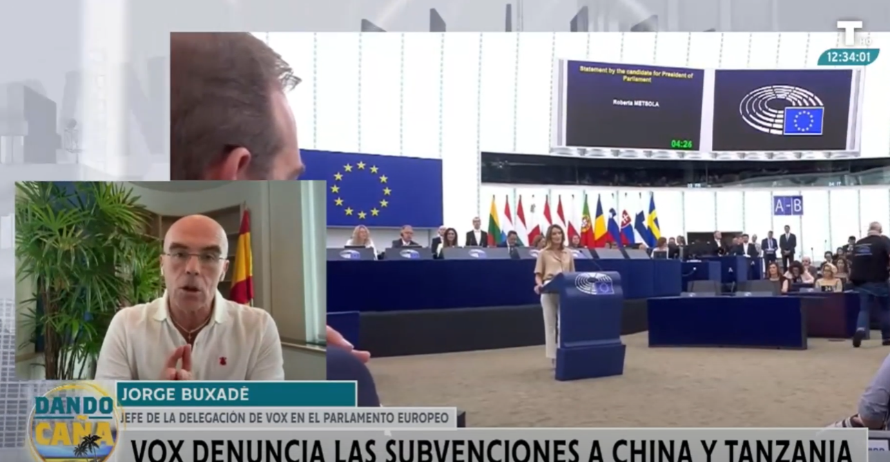 Entrevista JORGE BUXADÉ | Las SUBVENCIONES MILLONARIAS europeas | 28/08/25