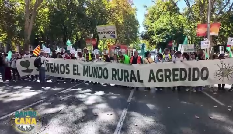 Eliminación de olivos por placas solares, macrogranjas y otras locuras verdes