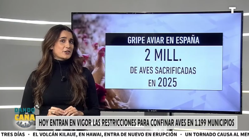 Nuevo revés a nuestra economía: se DISPARA el precio de los huevos