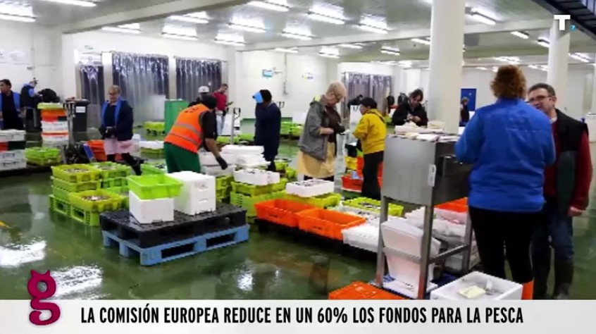 Bruselas sigue asfixiando al sector pesquero europeo con un entramado de normas cada vez más restrictivas